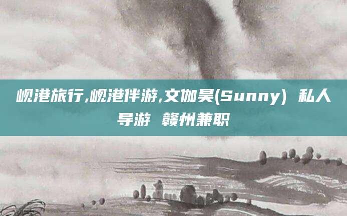 惠州岘港旅行,岘港伴游,文伽昊(Sunny) 私人导游 赣州兼职